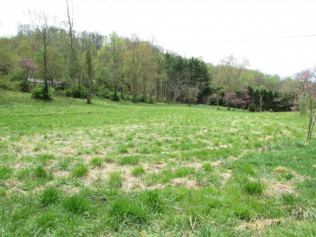 228 Short Coal Chute Road Elizabethton, TN 37643 - Photo 10 of 16 Photo 10
