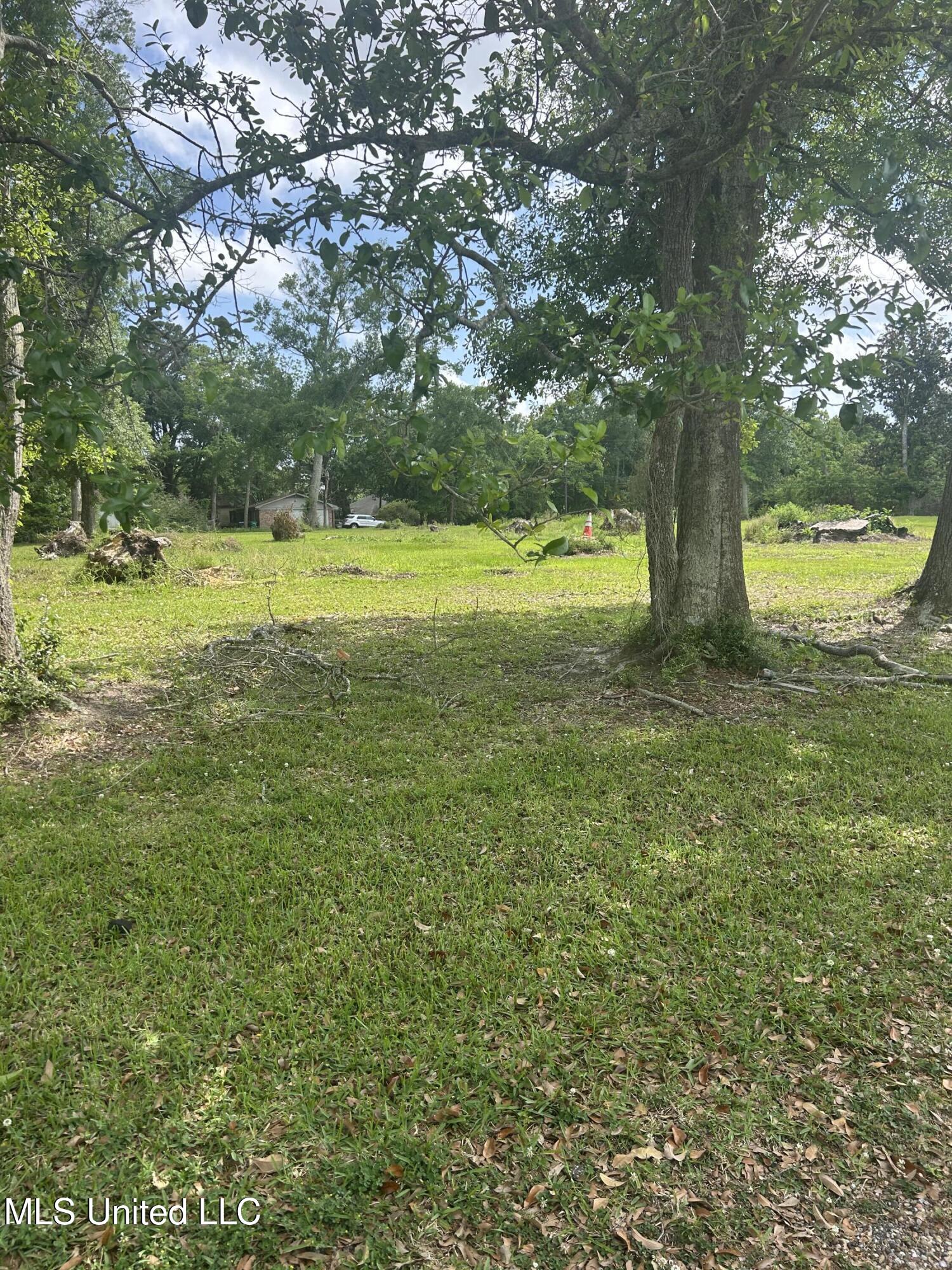 Magnolia Street Moss Point, MS 39563 - Photo 2 of 5 IMG_6923