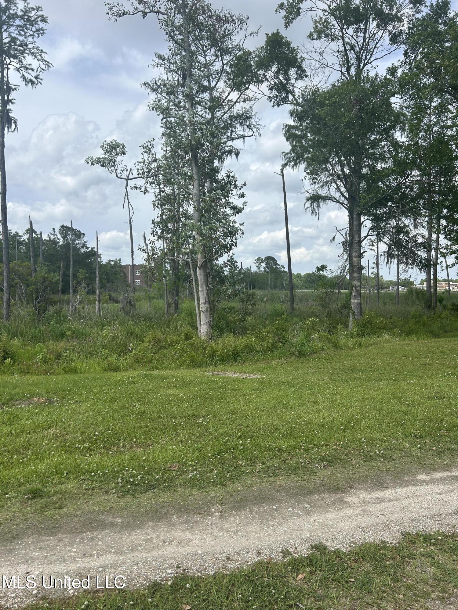 Magnolia Street Moss Point, MS 39563 - Photo 4 of 5 IMG_6930