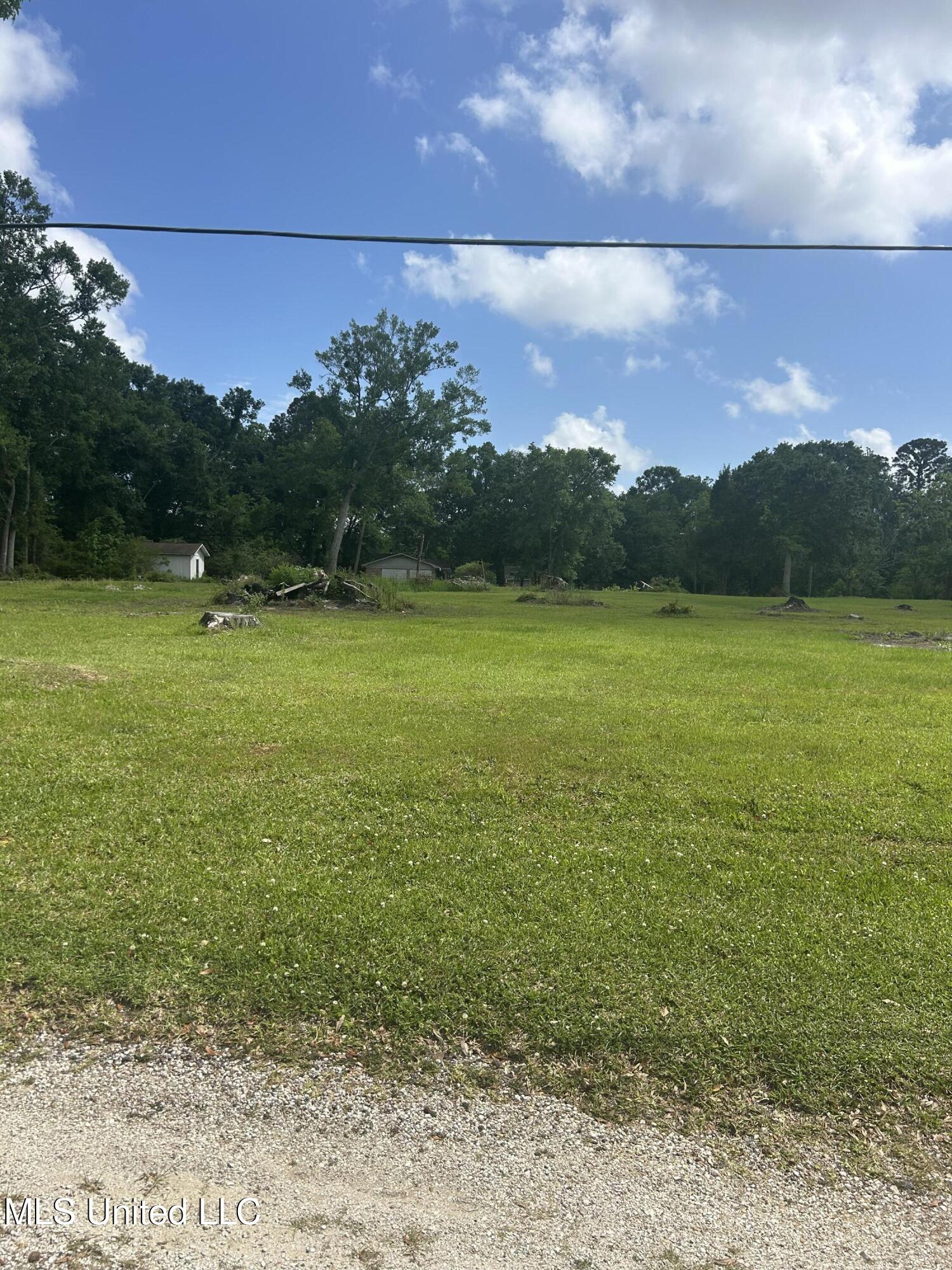 Magnolia Street Moss Point, MS 39563 - Photo 5 of 5 IMG_6927