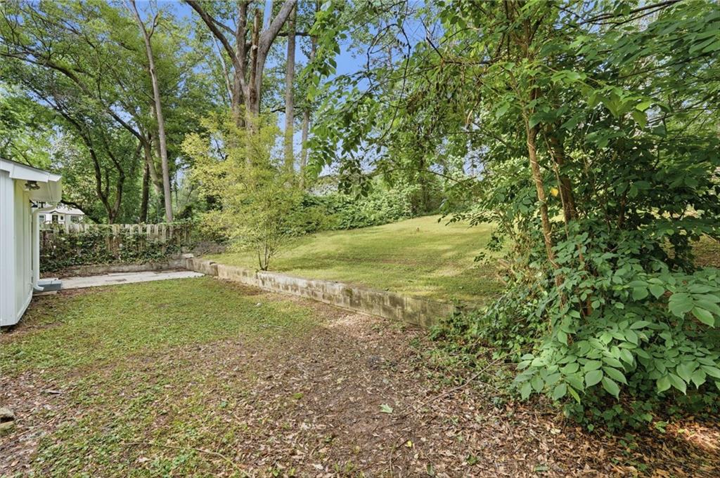 1222 Elizabeth Avenue Southwest Atlanta, GA 30310 - Photo 39 of 46 a view of a yard with plants