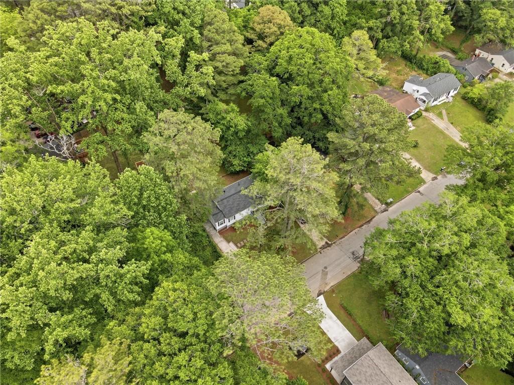 1222 Elizabeth Avenue Southwest Atlanta, GA 30310 - Photo 5 of 46 a view of a yard with plants