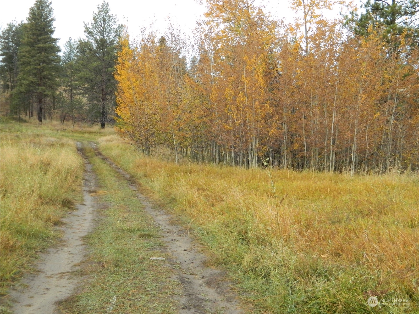 66 Upper Reavis Basin Road Tonasket, WA 98855 - Photo 15 of 23 Gallery Image 15