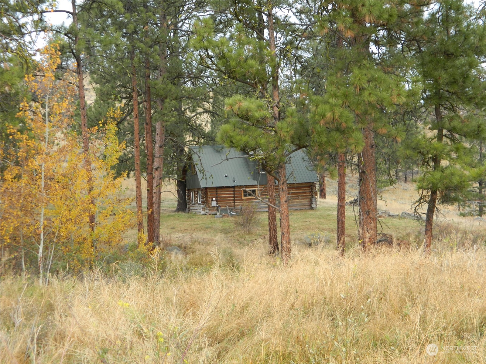 66 Upper Reavis Basin Road Tonasket, WA 98855 - Photo 5 of 23 Gallery Image 5