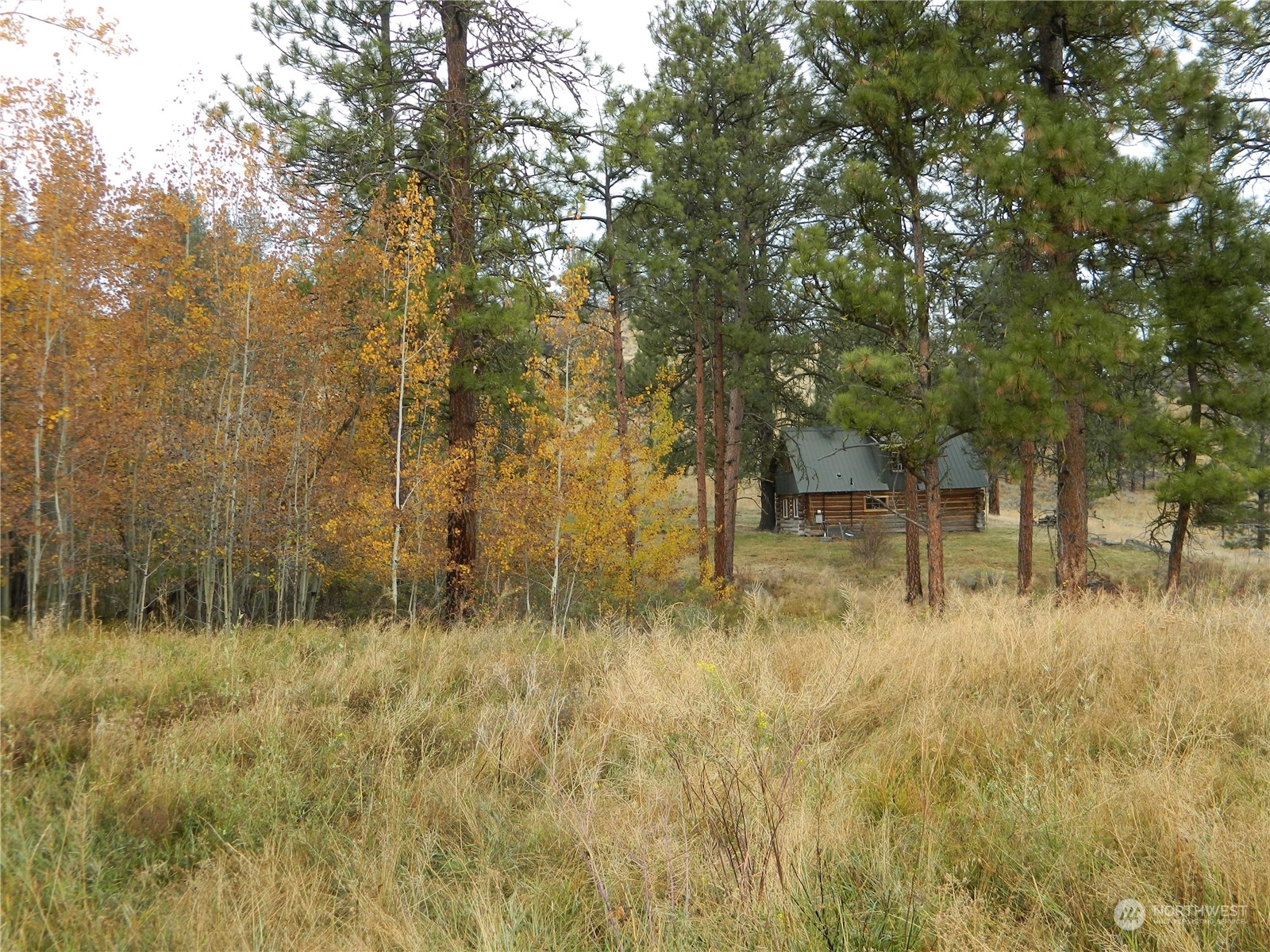 66 Upper Reavis Basin Road Tonasket, WA 98855 - Photo 8 of 23 Gallery Image 8