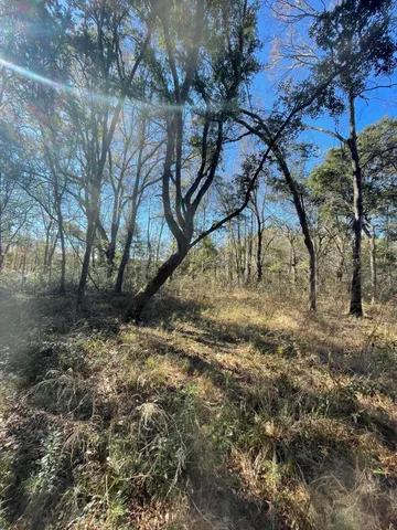 $150,000 | 0 North Highway 17, McClellanville, SC 29458