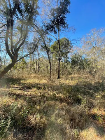 $150,000 | 0 North Highway 17, McClellanville, SC 29458