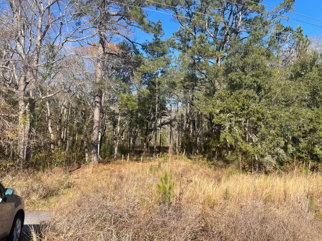 $150,000 | 0 North Highway 17, McClellanville, SC 29458