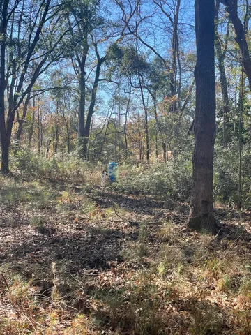 $150,000 | 0 North Highway 17, McClellanville, SC 29458