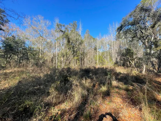 $150,000 | 0 North Highway 17, McClellanville, SC 29458