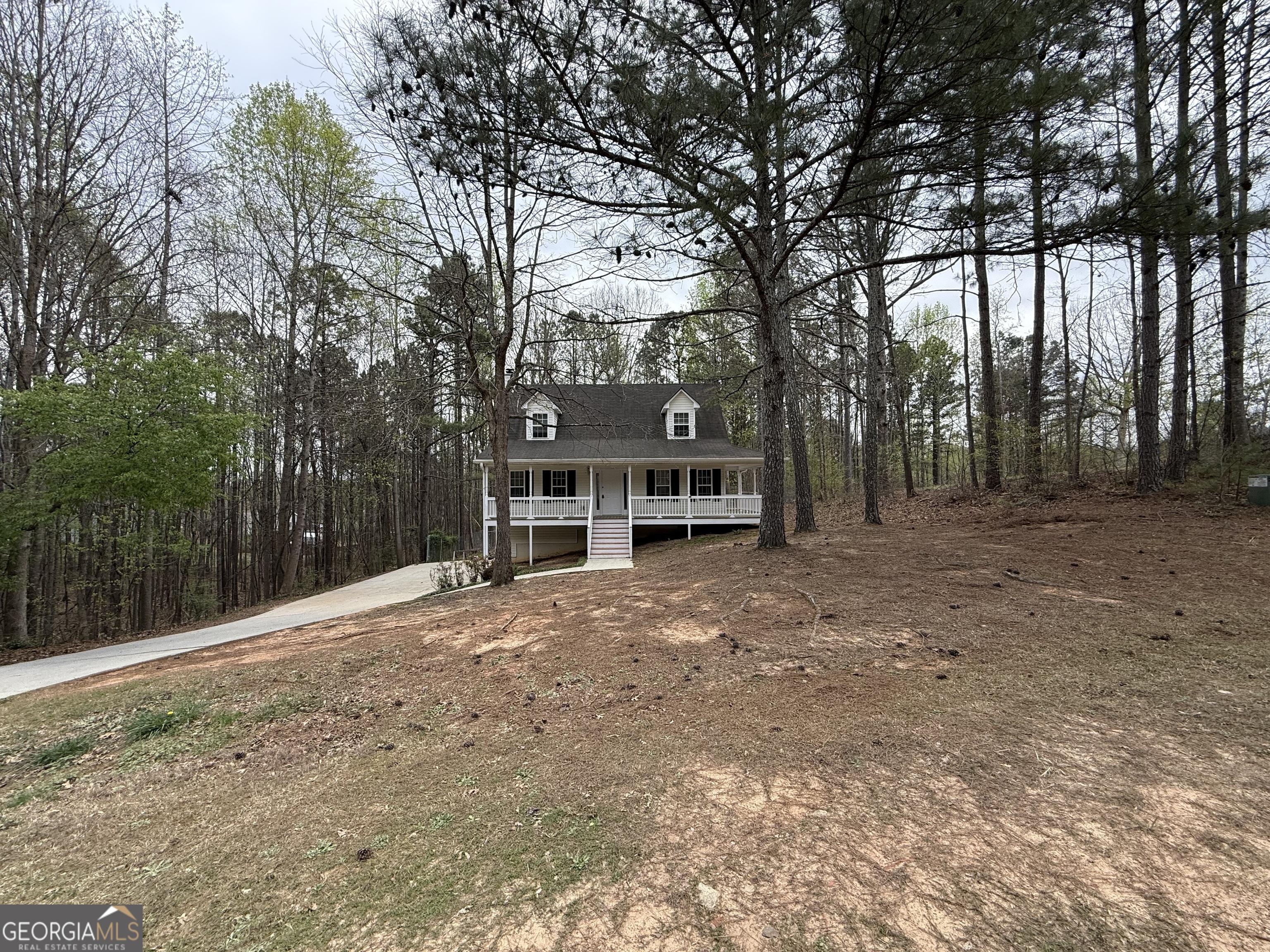 133 Greentree Trail Temple, GA 30179 - Photo 3 of 46