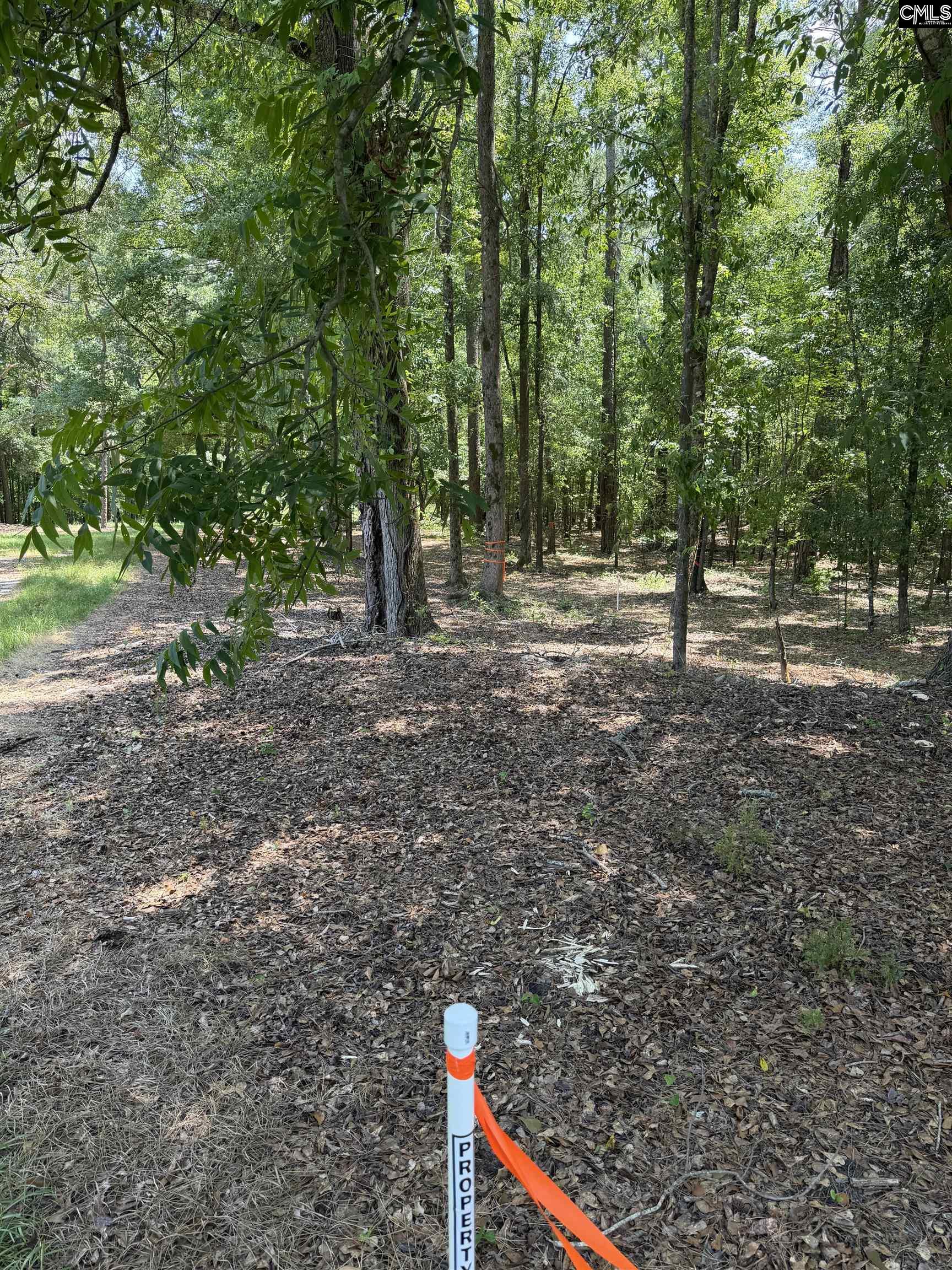 812 Sandfield Road Blythewood, SC 29016 - Photo 12 of 25