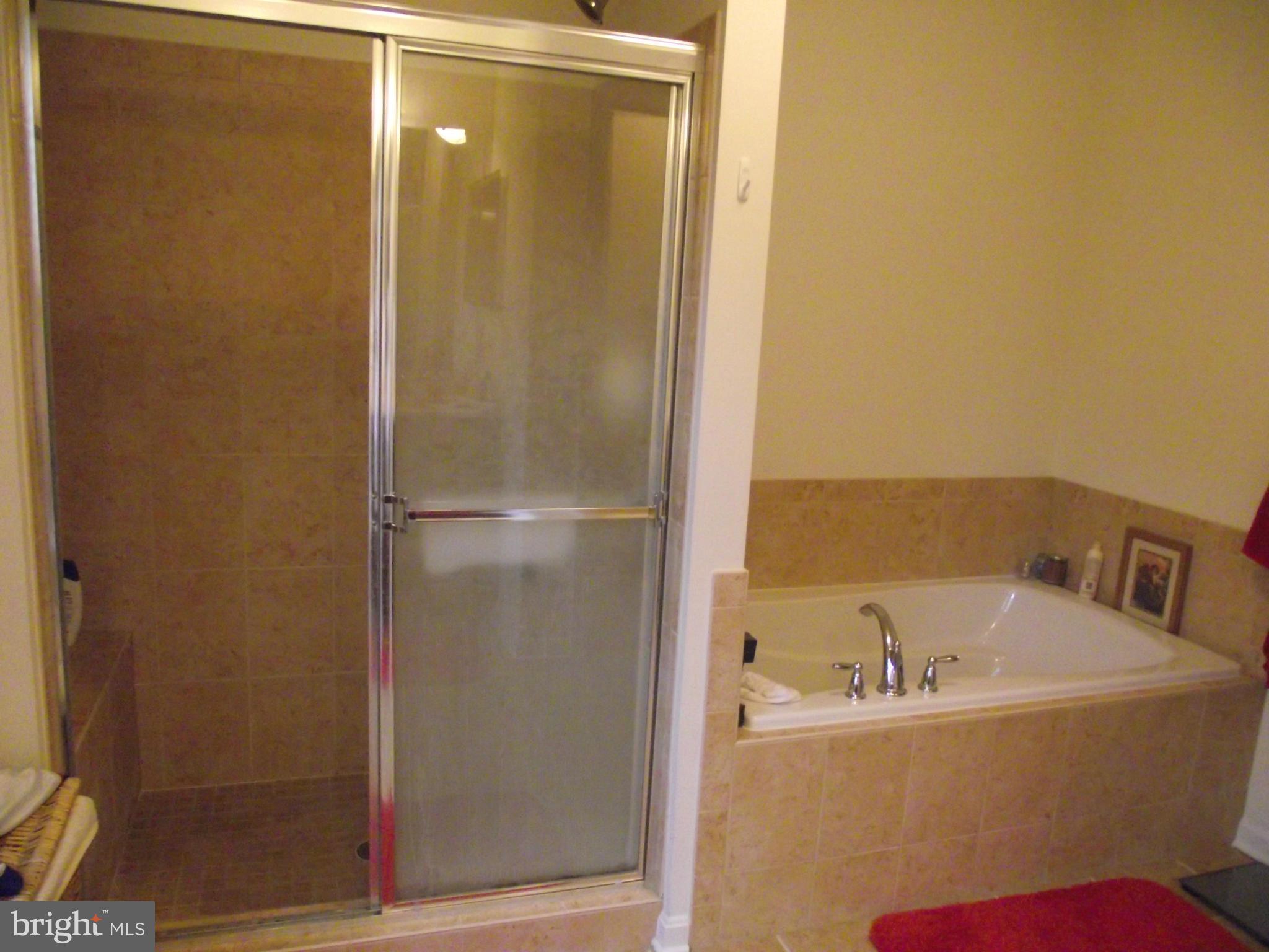 809 Wampler Road Baltimore, MD 21220 - Photo 13 of 23 Bath (Master)