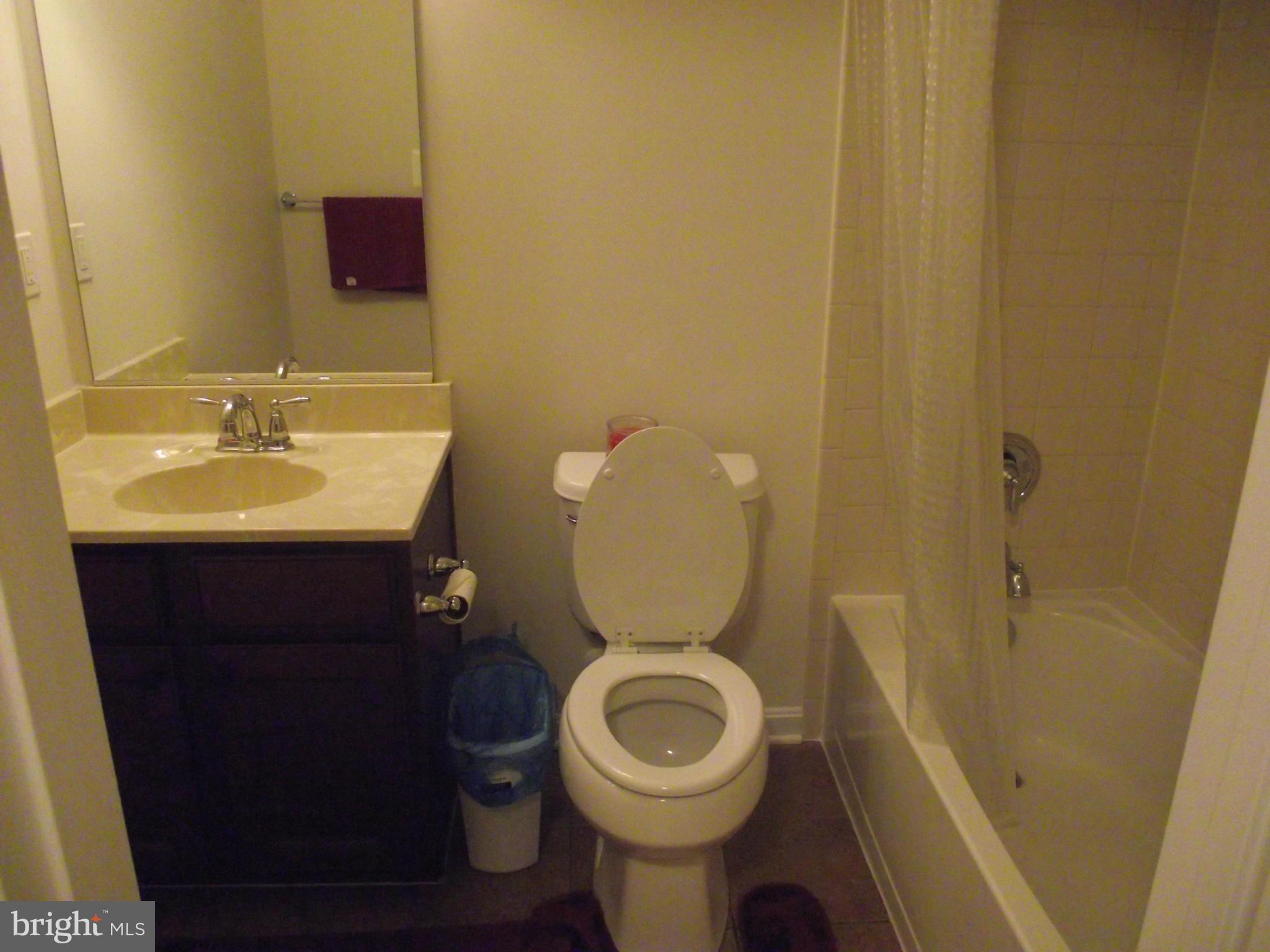 809 Wampler Road Baltimore, MD 21220 - Photo 14 of 23 Bath