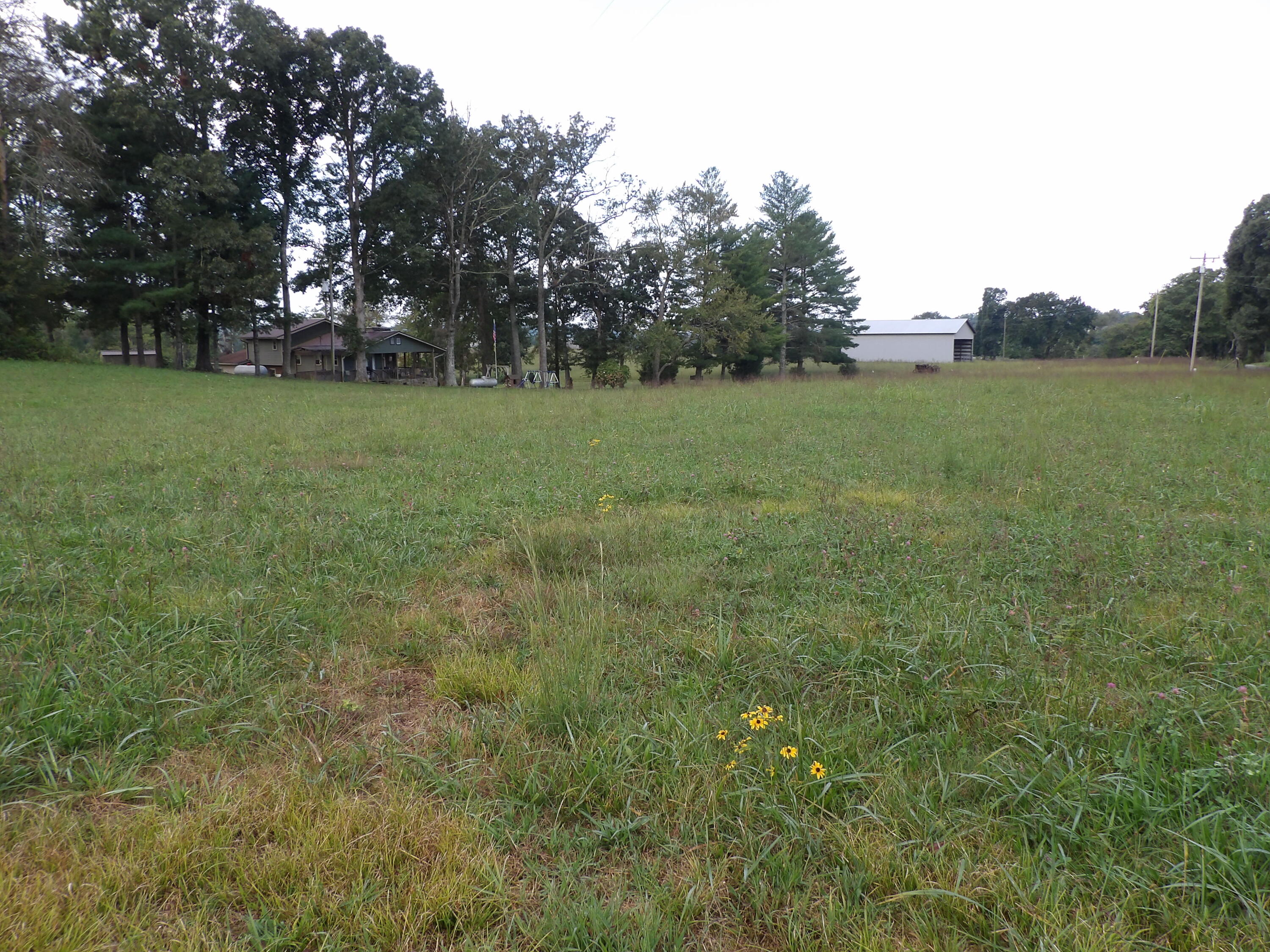 1 Panter Bottom Road Pikeville, TN 37367 - Photo 3 of 10 100_5999