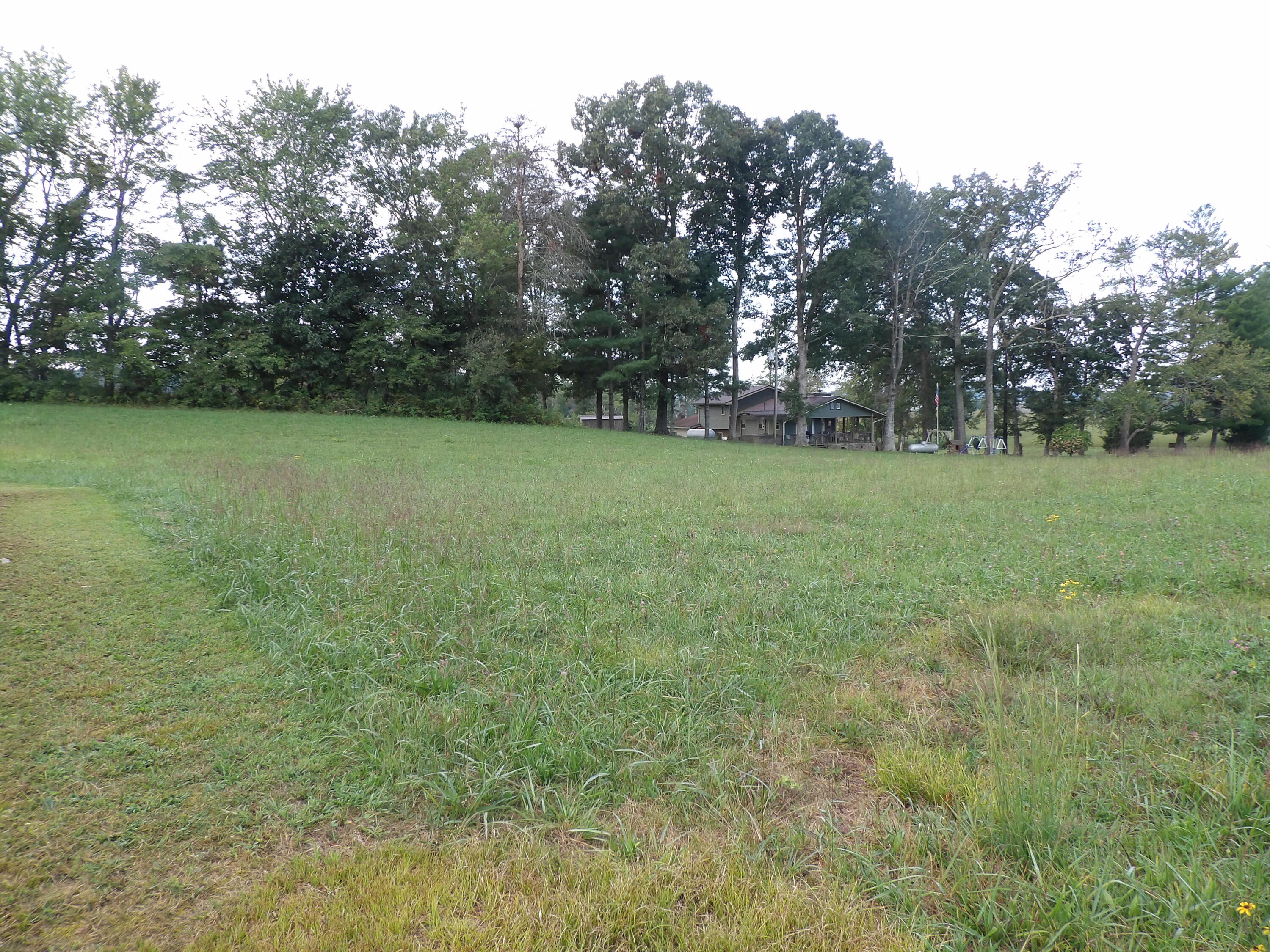 1 Panter Bottom Road Pikeville, TN 37367 - Photo 4 of 10 100_6000