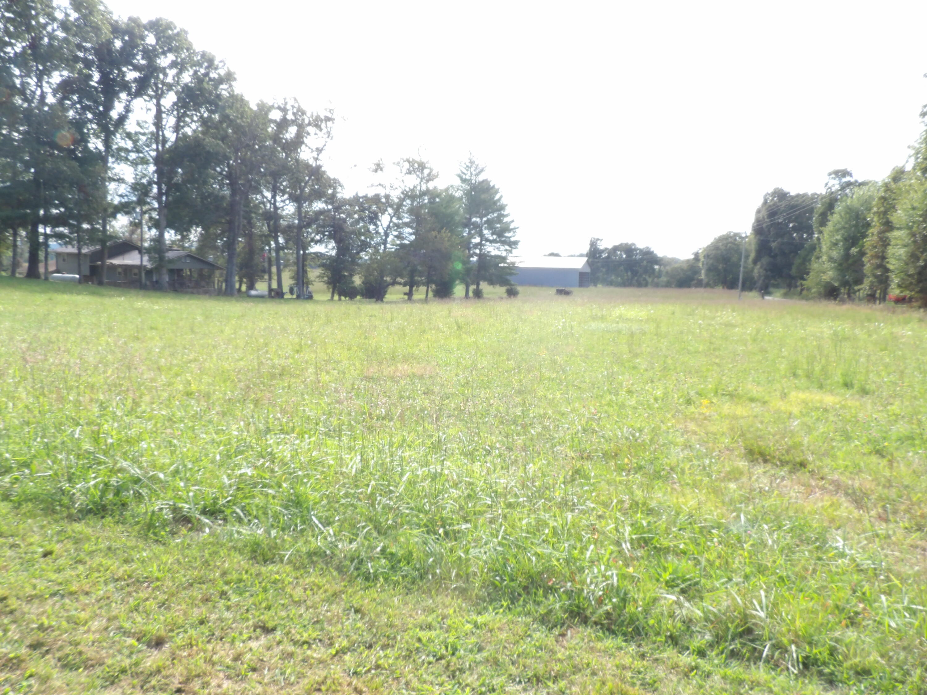 1 Panter Bottom Road Pikeville, TN 37367 - Photo 7 of 10 100_6025
