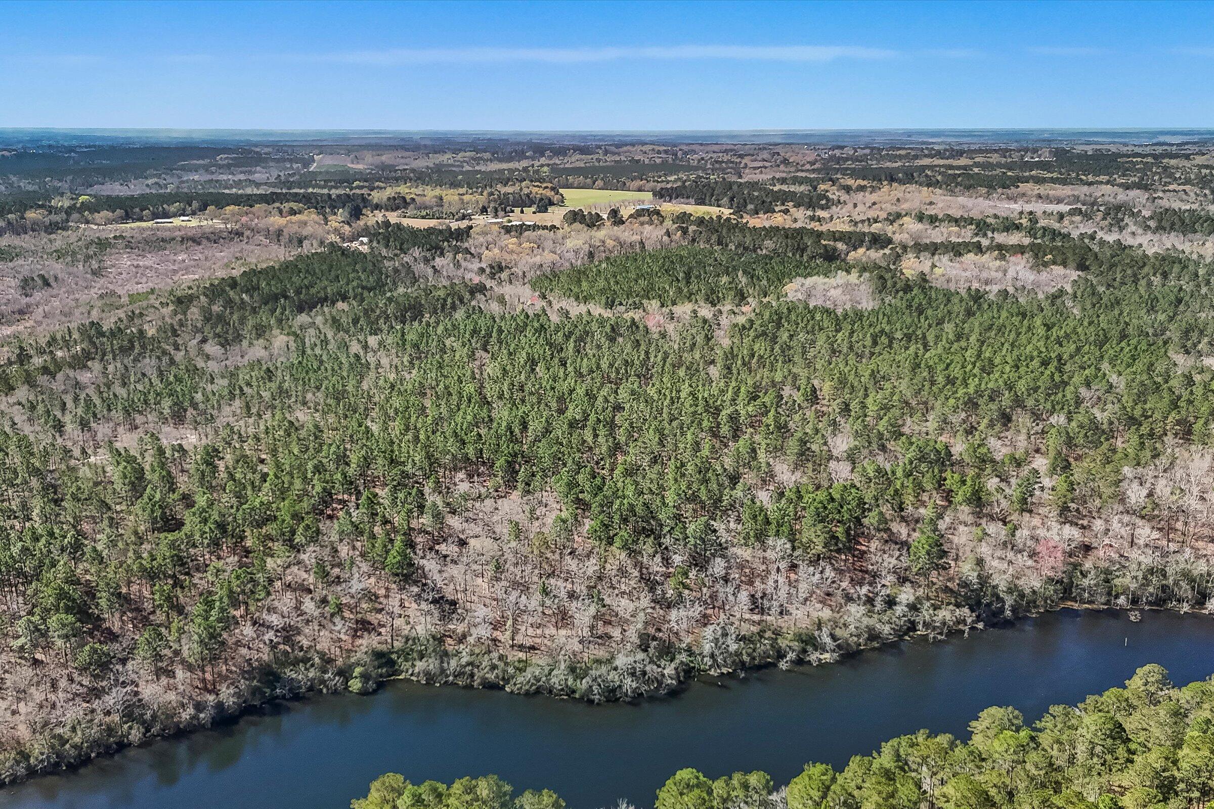 357 Collum Pond Road Wagener, SC 29164 - Photo 80 of 106