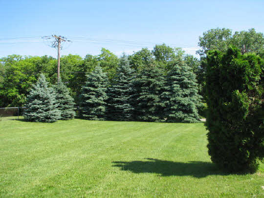 Gallery Image 6