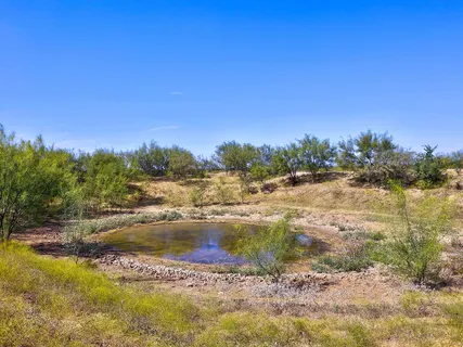 a view of a lake with a yard