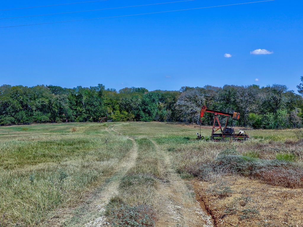 5400 Gander Slough Road Kingsbury, TX 78638 - Photo 6 of 40 a view of a field with trees in the background