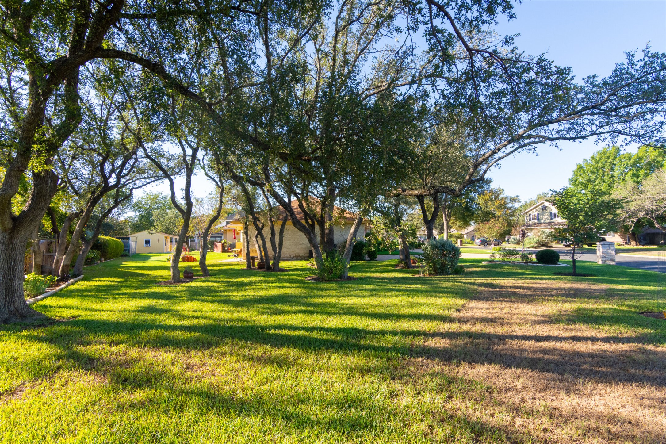 219 Turtle Bend Georgetown, TX 78628 - Photo 5 of 37 Mature shade trees frame a sprawling green lawn on this expansive neighborhood property.