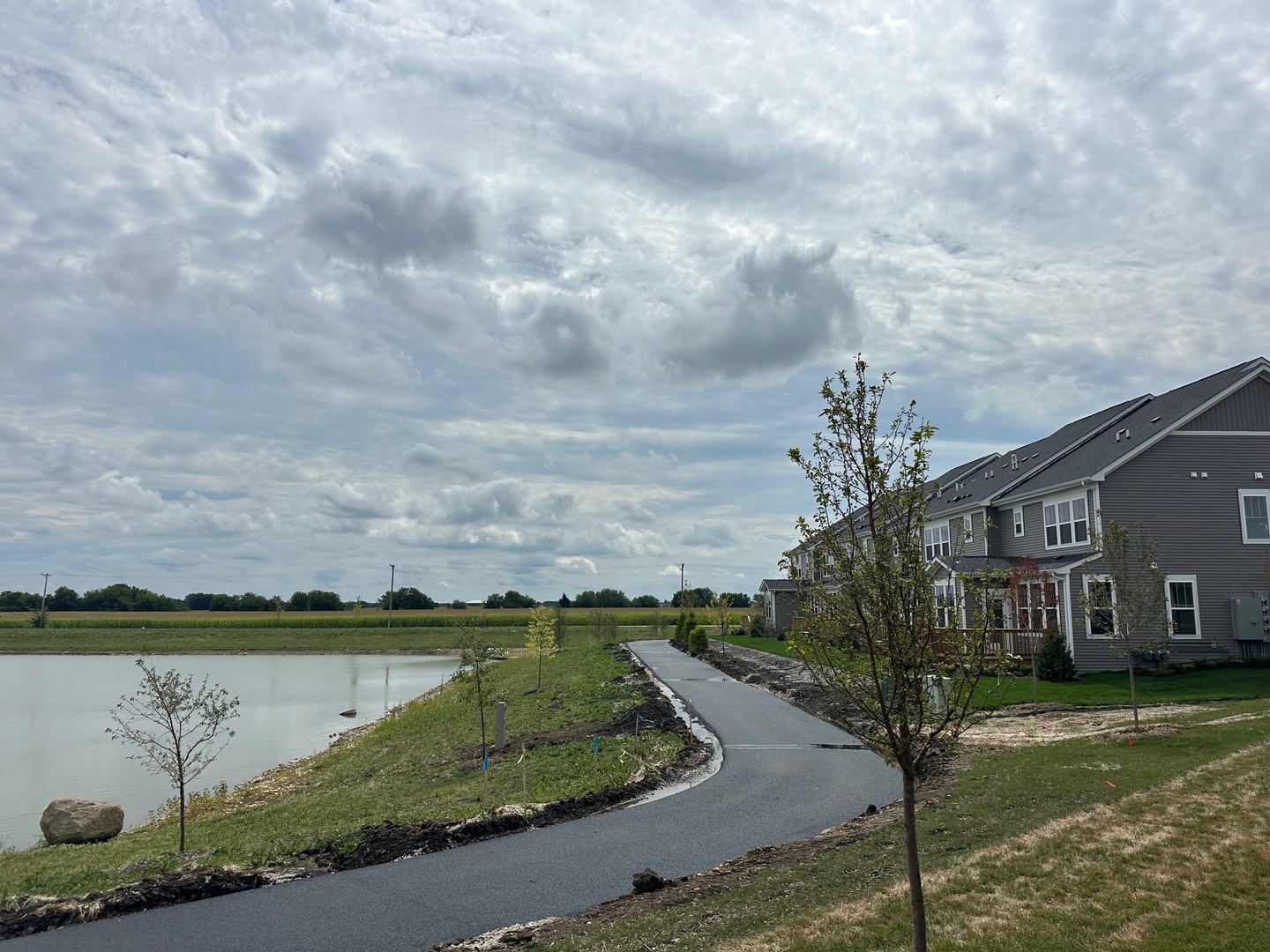 5949 Hawkweed Drive Plainfield, IL 60585 - Photo 22 of 25 a view of a water fountain and a big yard