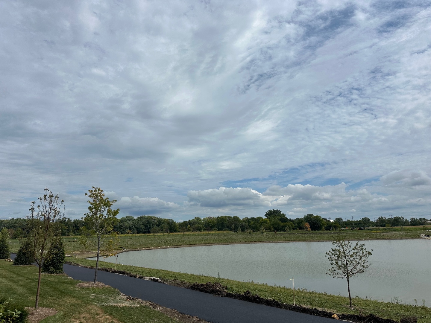 5949 Hawkweed Drive Plainfield, IL 60585 - Photo 23 of 25 a view of a lake with houses in the background
