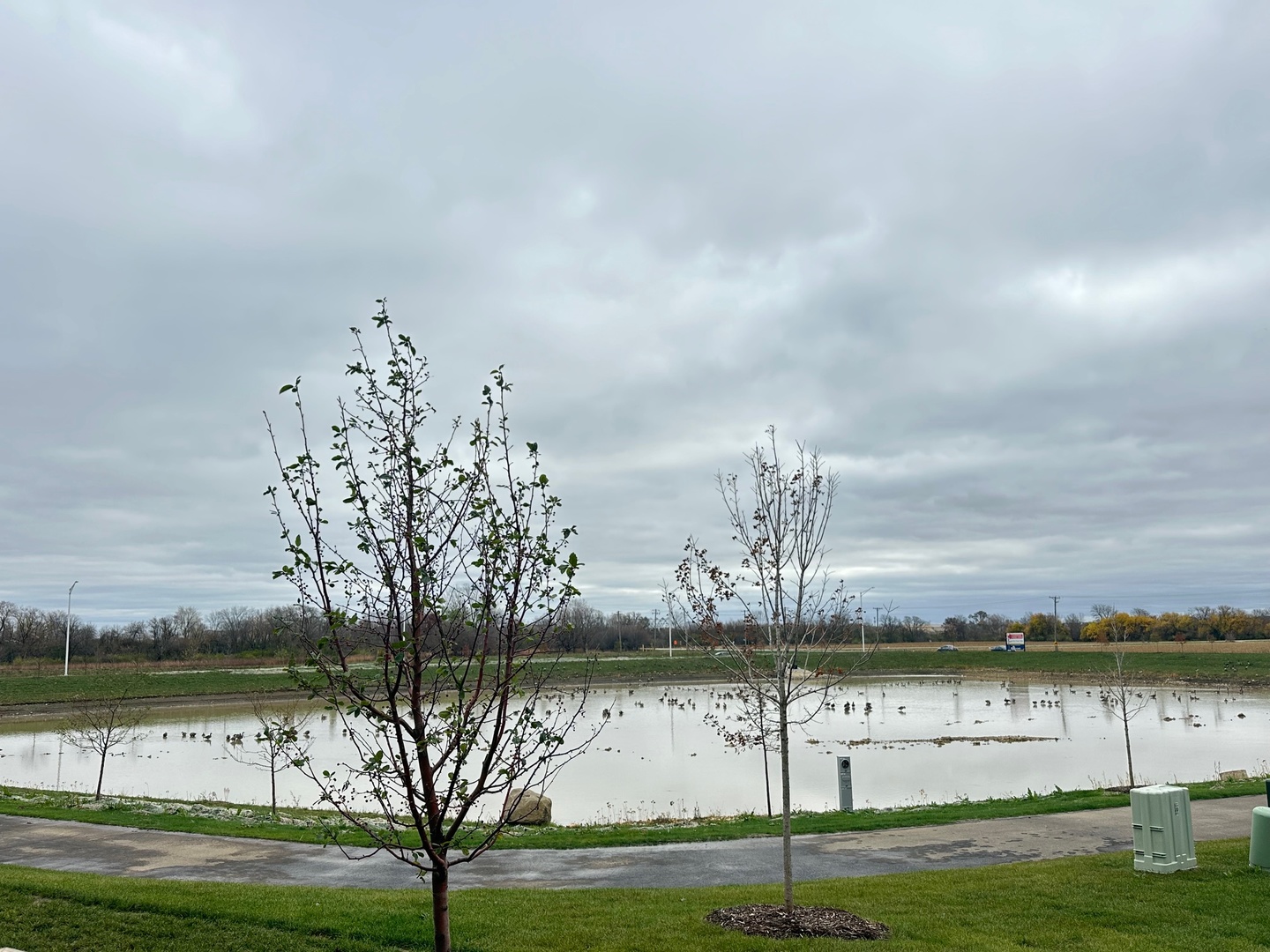 5949 Hawkweed Drive Plainfield, IL 60585 - Photo 25 of 25 a view of lake with green space