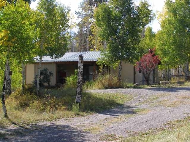 179 Forest Hill Road Ridgway, CO 81432 - Photo 3 of 24 House from office