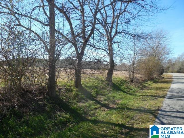 0 Curry Station Road, Unit 1 Munford, AL 36268 - Photo 4 of 14