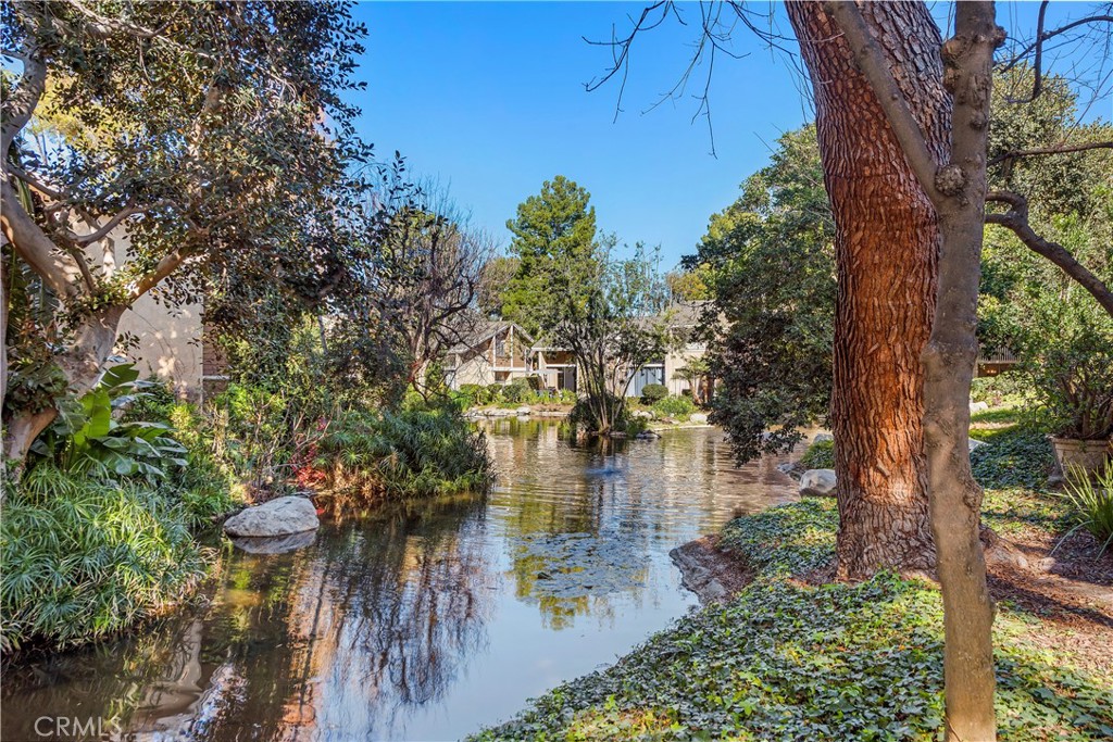 165 Pineview Irvine, CA 92620 - Photo 10 of 23 a view of swimming pool next to a yard