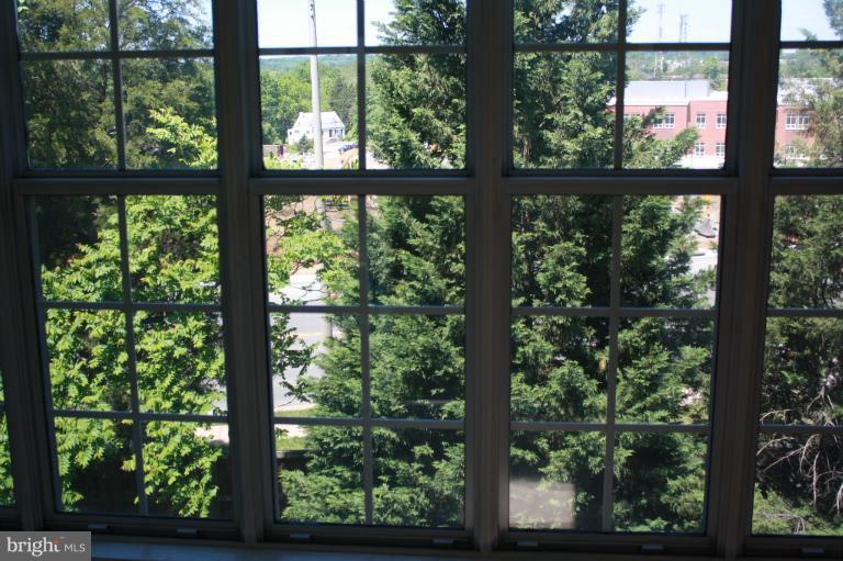 120 Fort Evans Road Southeast, Unit F Leesburg, VA 20175 - Photo 5 of 13 View of trees from enclosed porch