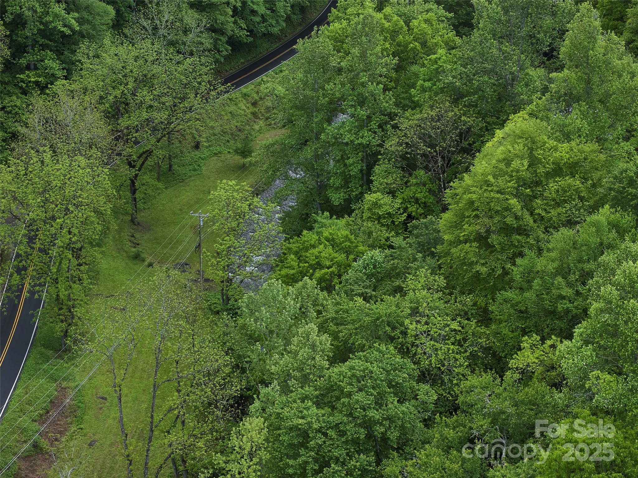 210 Conleys Creek Road Whittier, NC 28789 - Photo 12 of 31 a view of a lush green forest