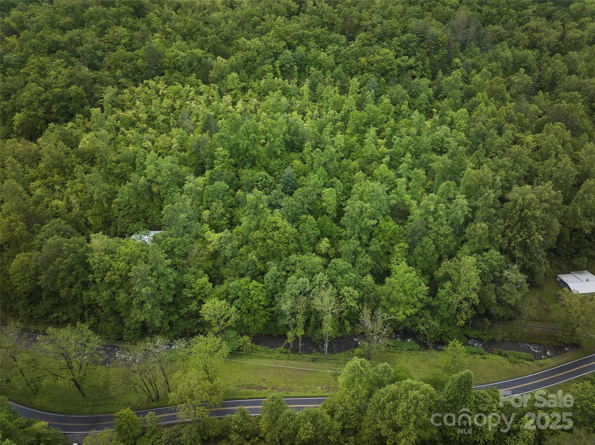 210 Conleys Creek Road Whittier, NC 28789 - Photo 14 of 31 a view of a lush green forest