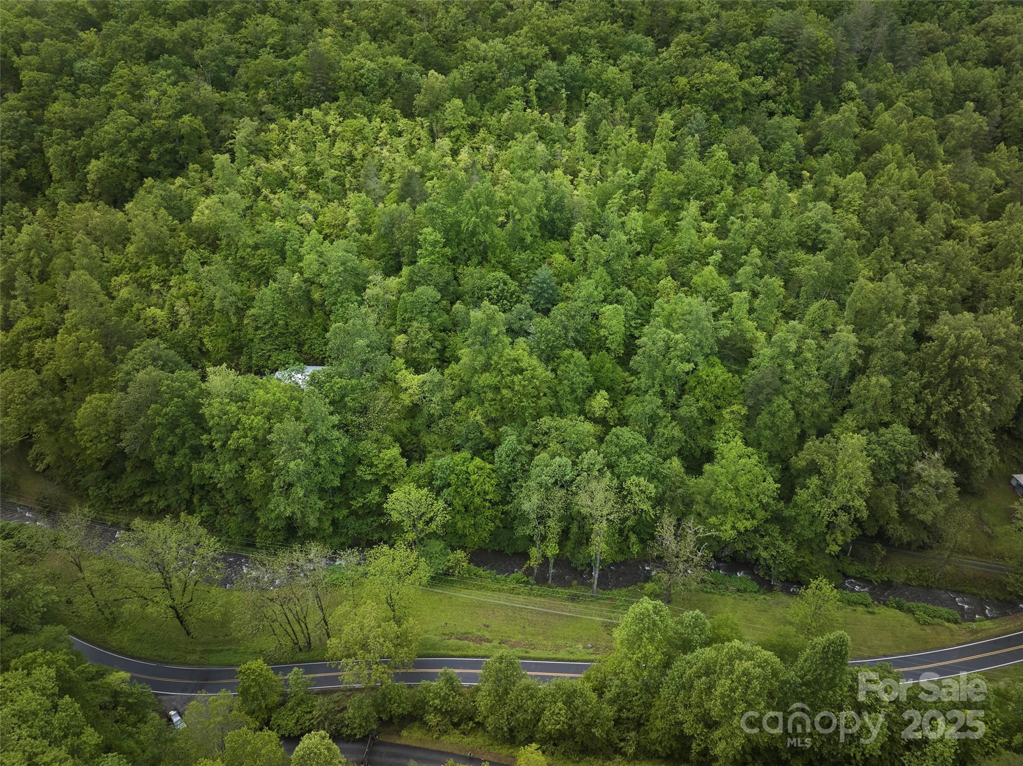 210 Conleys Creek Road Whittier, NC 28789 - Photo 15 of 31 a view of a lush green forest