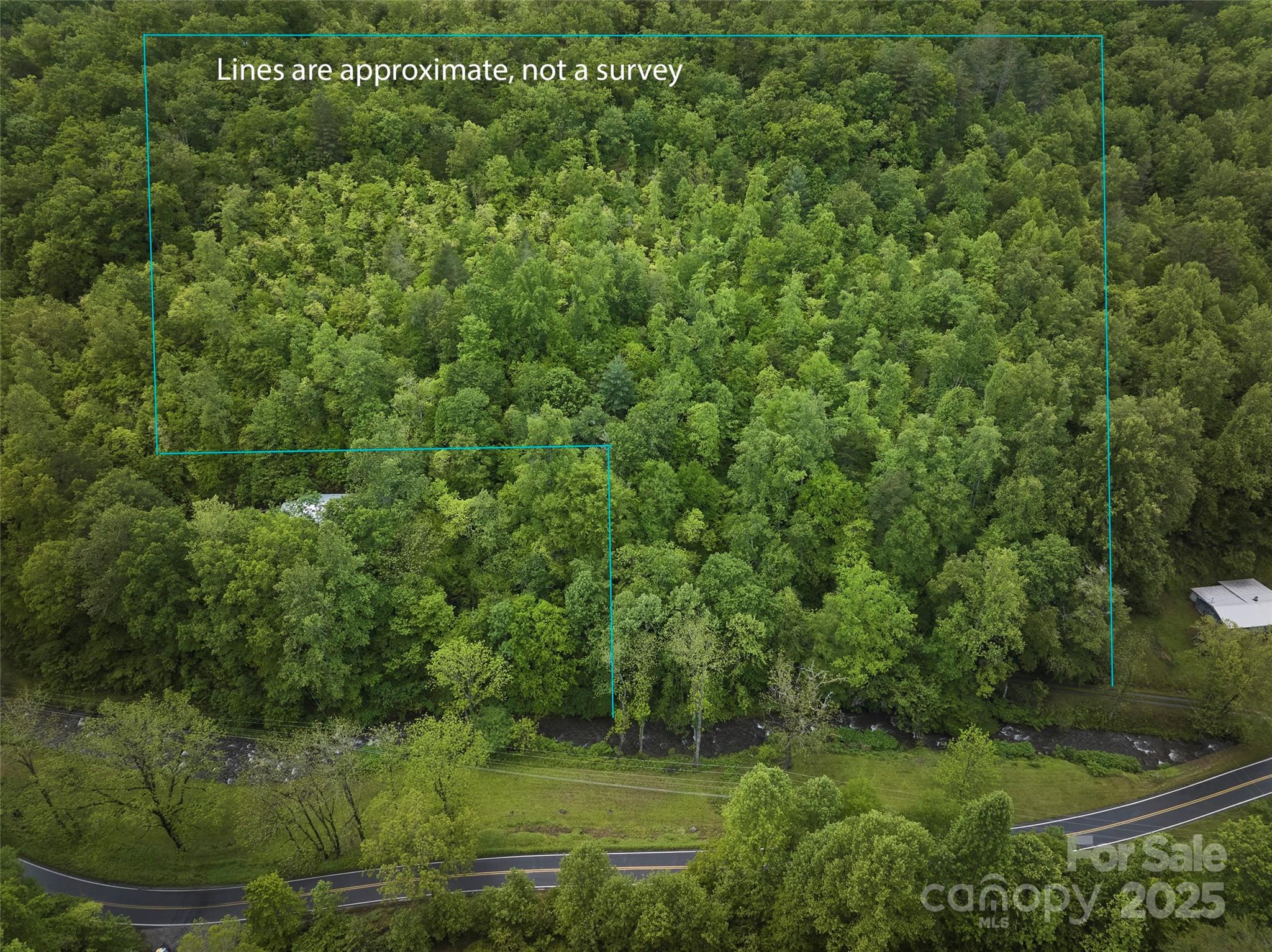 210 Conleys Creek Road Whittier, NC 28789 - Photo 16 of 31 a view of a lush green forest
