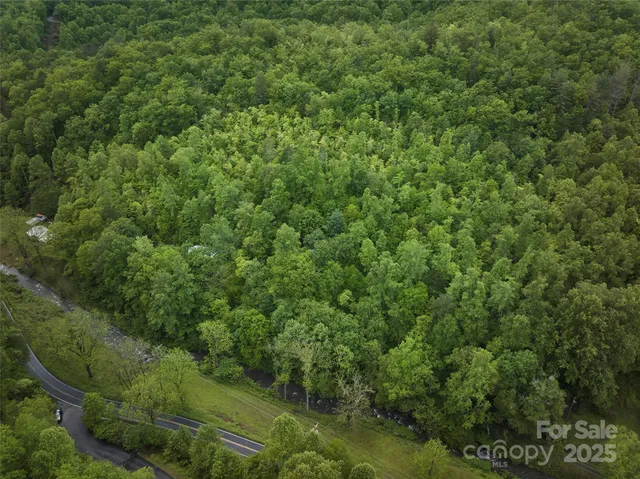 a view of a lush green forest