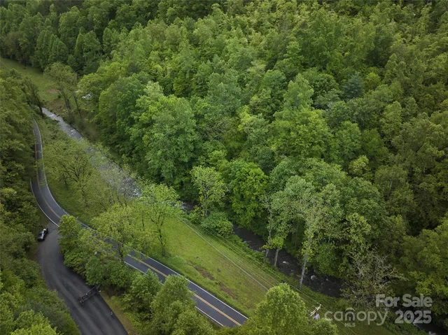 a view of a forest with a street