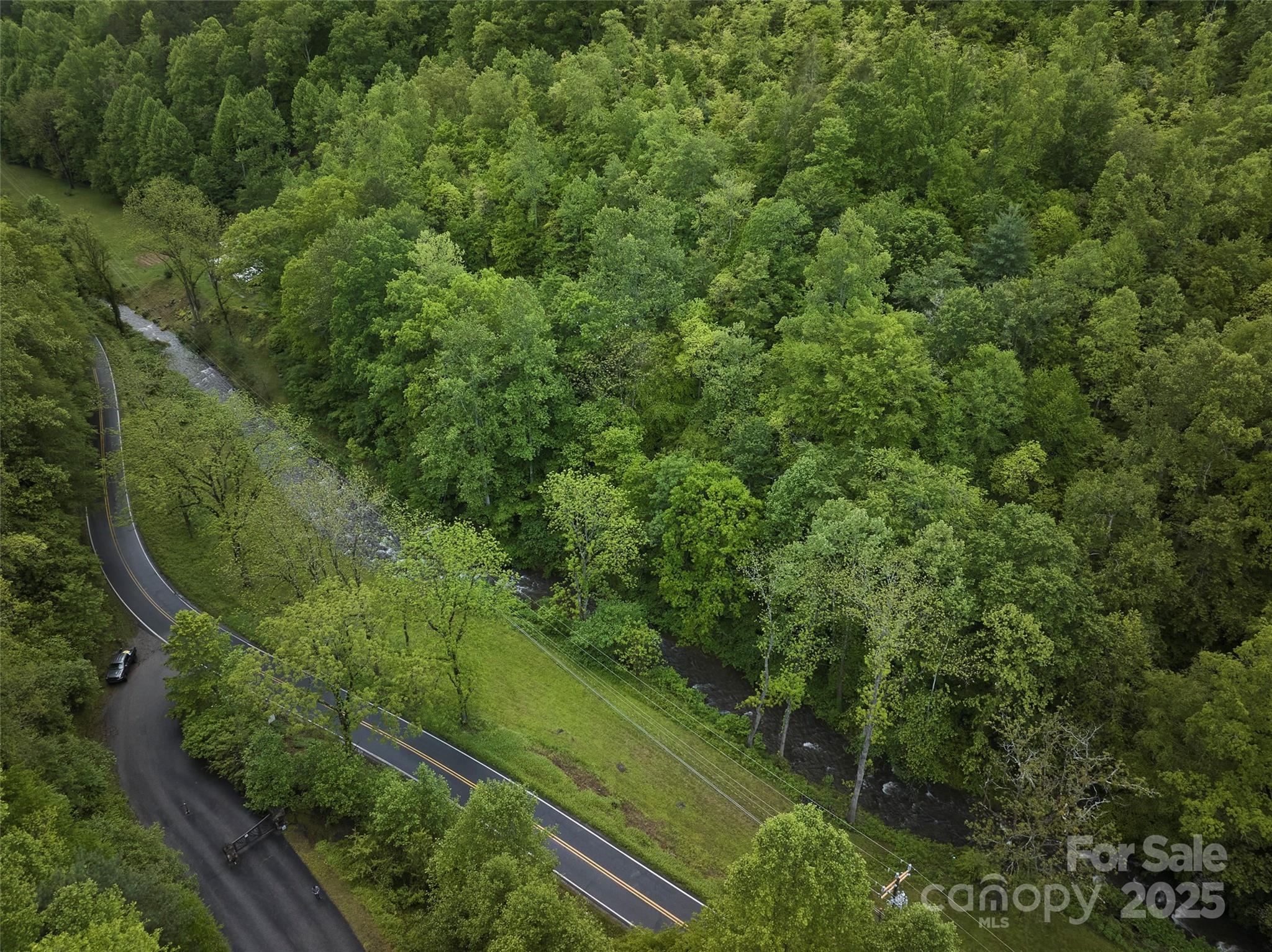 210 Conleys Creek Road Whittier, NC 28789 - Photo 20 of 31 a view of a forest with a street