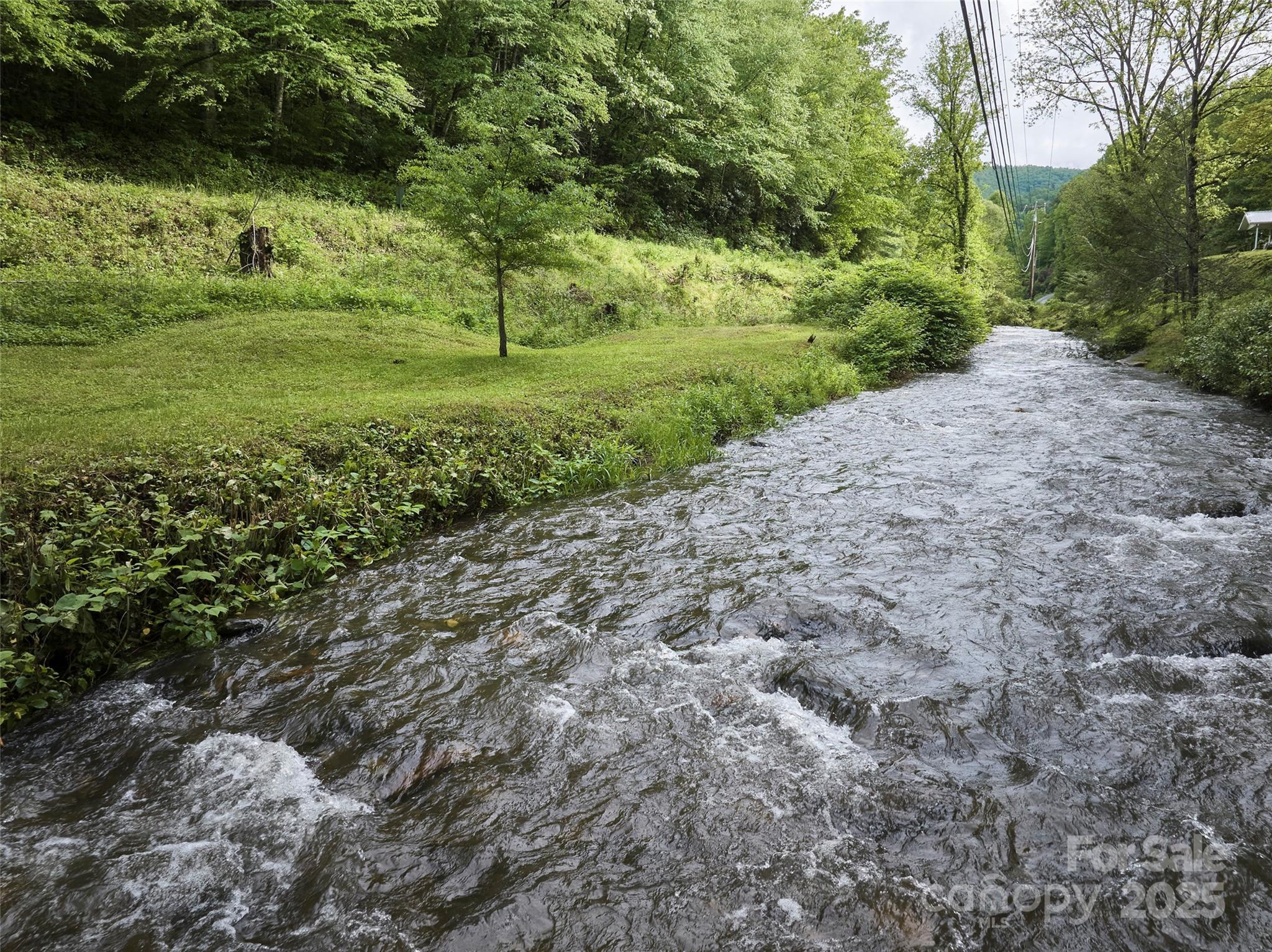 210 Conleys Creek Road Whittier, NC 28789 - Photo 2 of 31 a view of a grassy field with trees