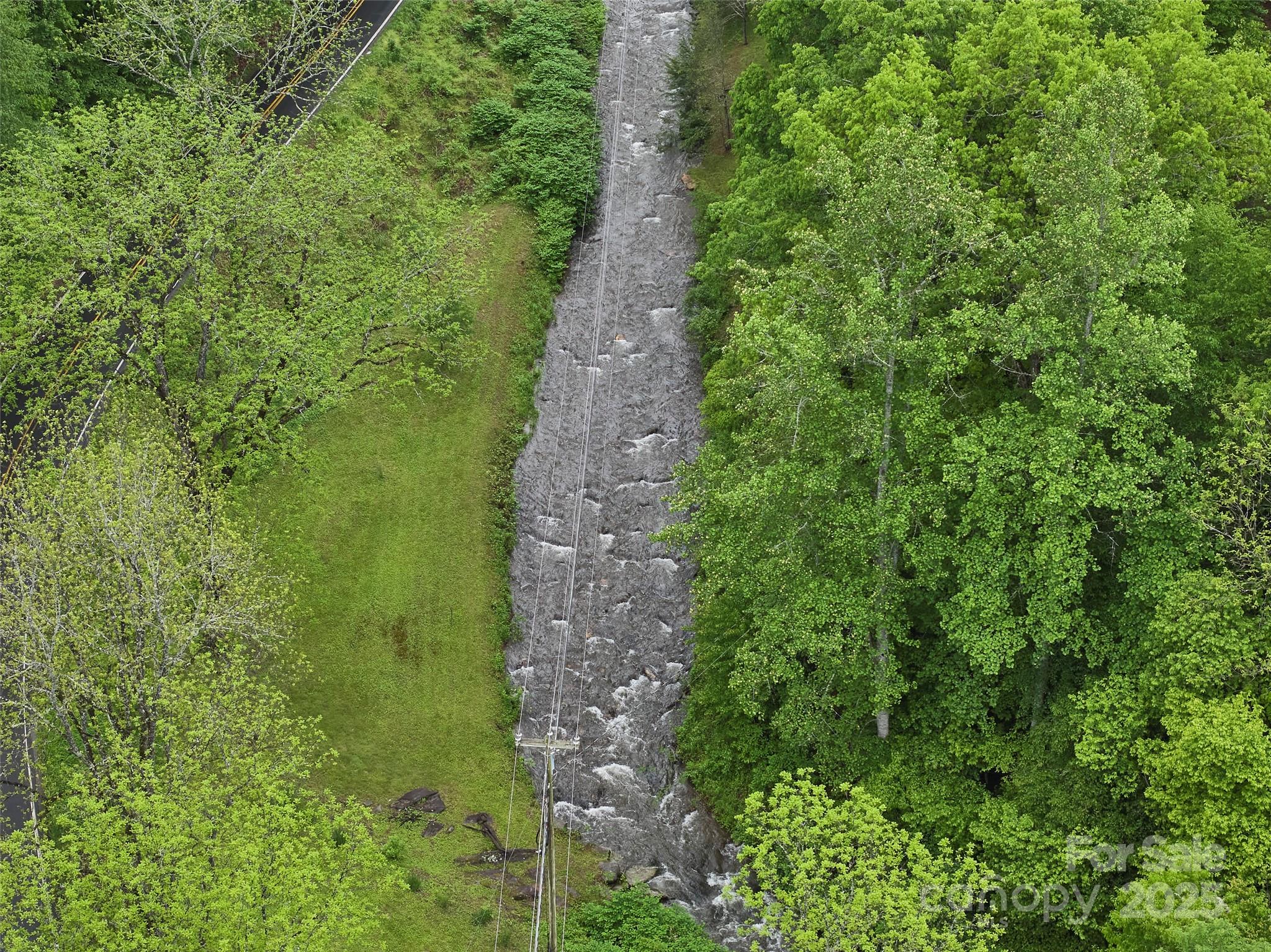 210 Conleys Creek Road Whittier, NC 28789 - Photo 22 of 31 a view of a large yard with lots of green space