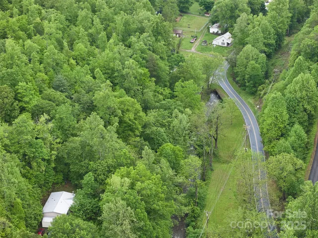 a view of a lush green forest with lots of trees