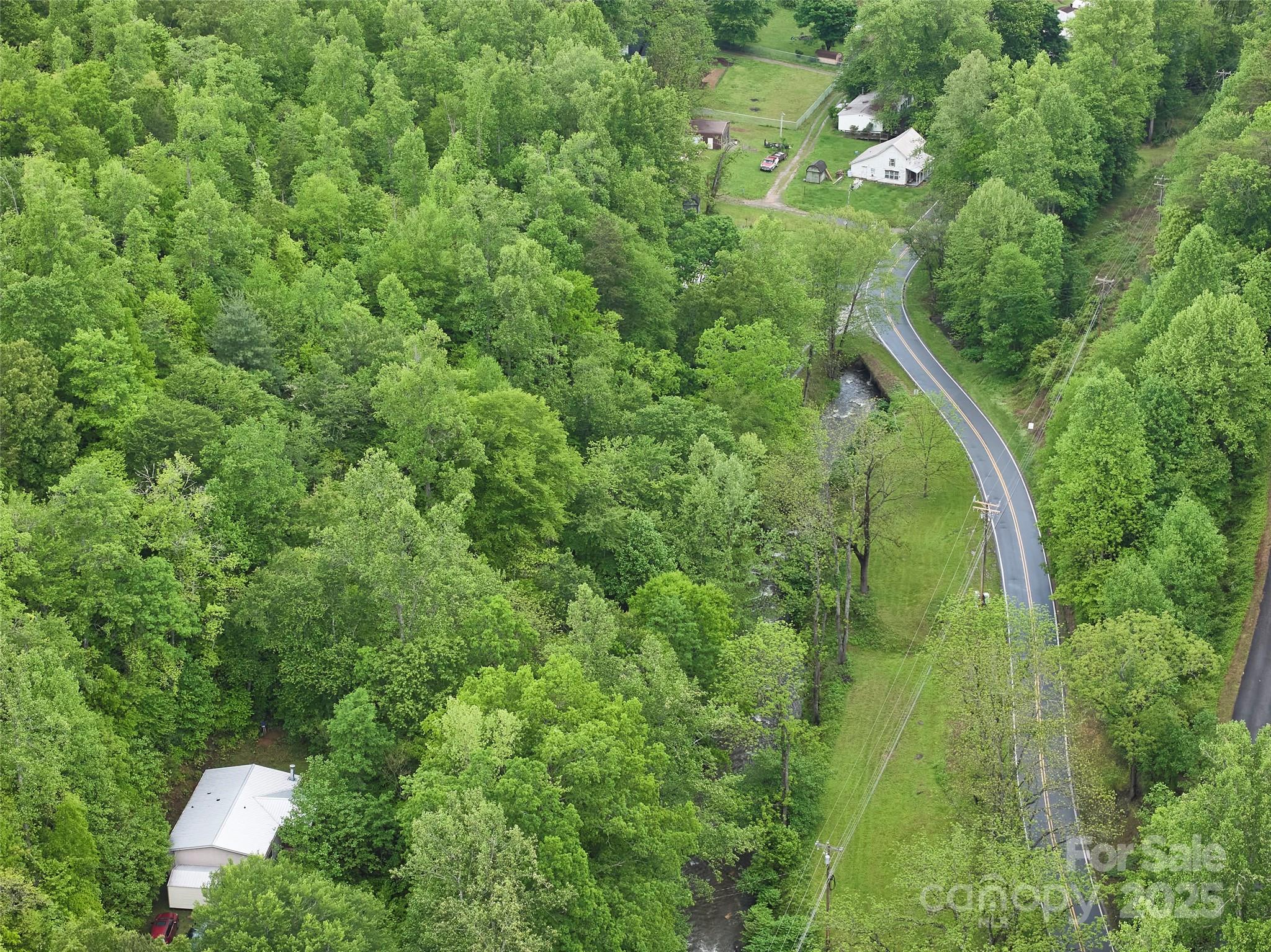 210 Conleys Creek Road Whittier, NC 28789 - Photo 23 of 31 a view of a lush green forest with lots of trees