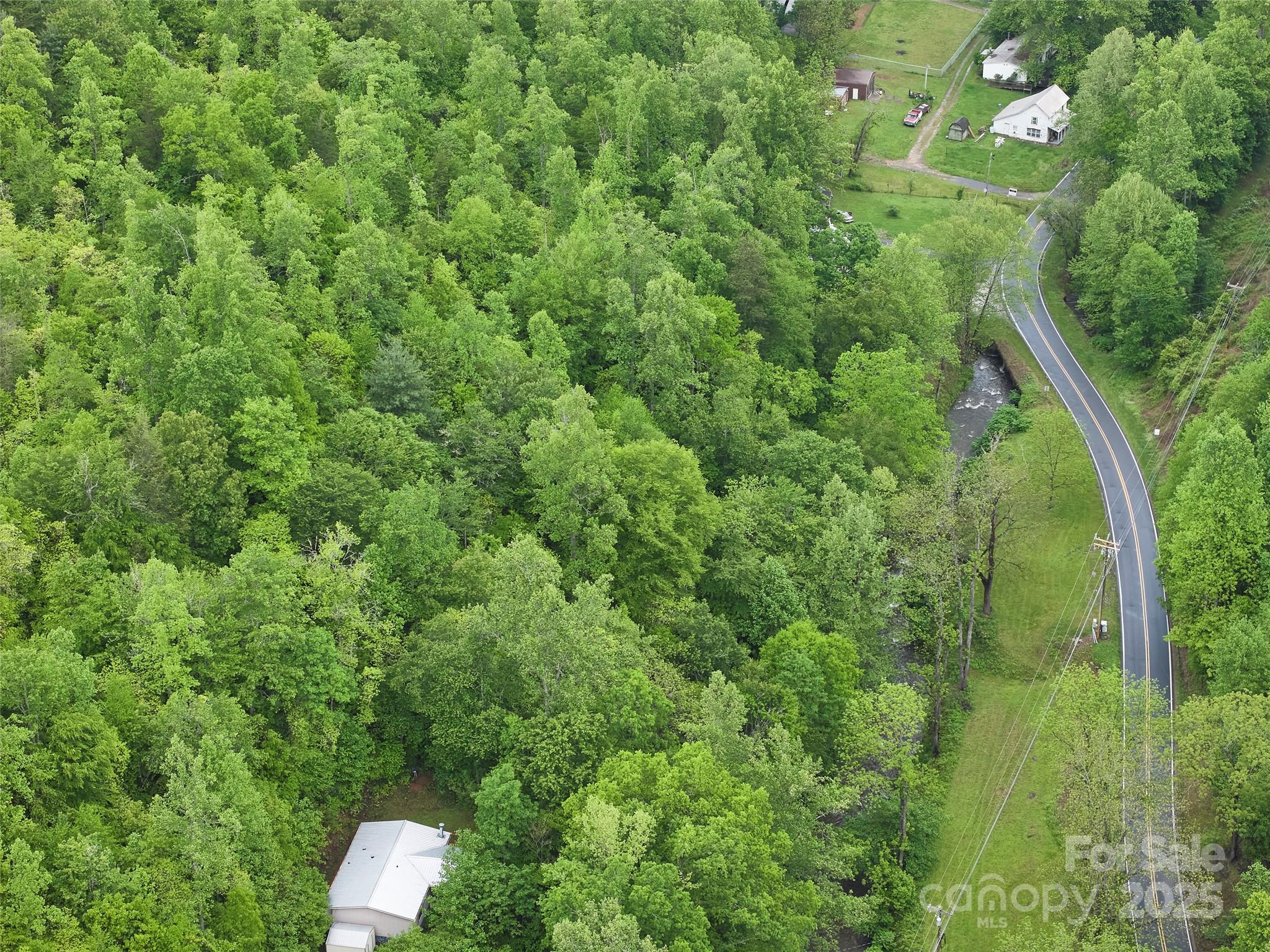 210 Conleys Creek Road Whittier, NC 28789 - Photo 24 of 31 a view of a forest with a street