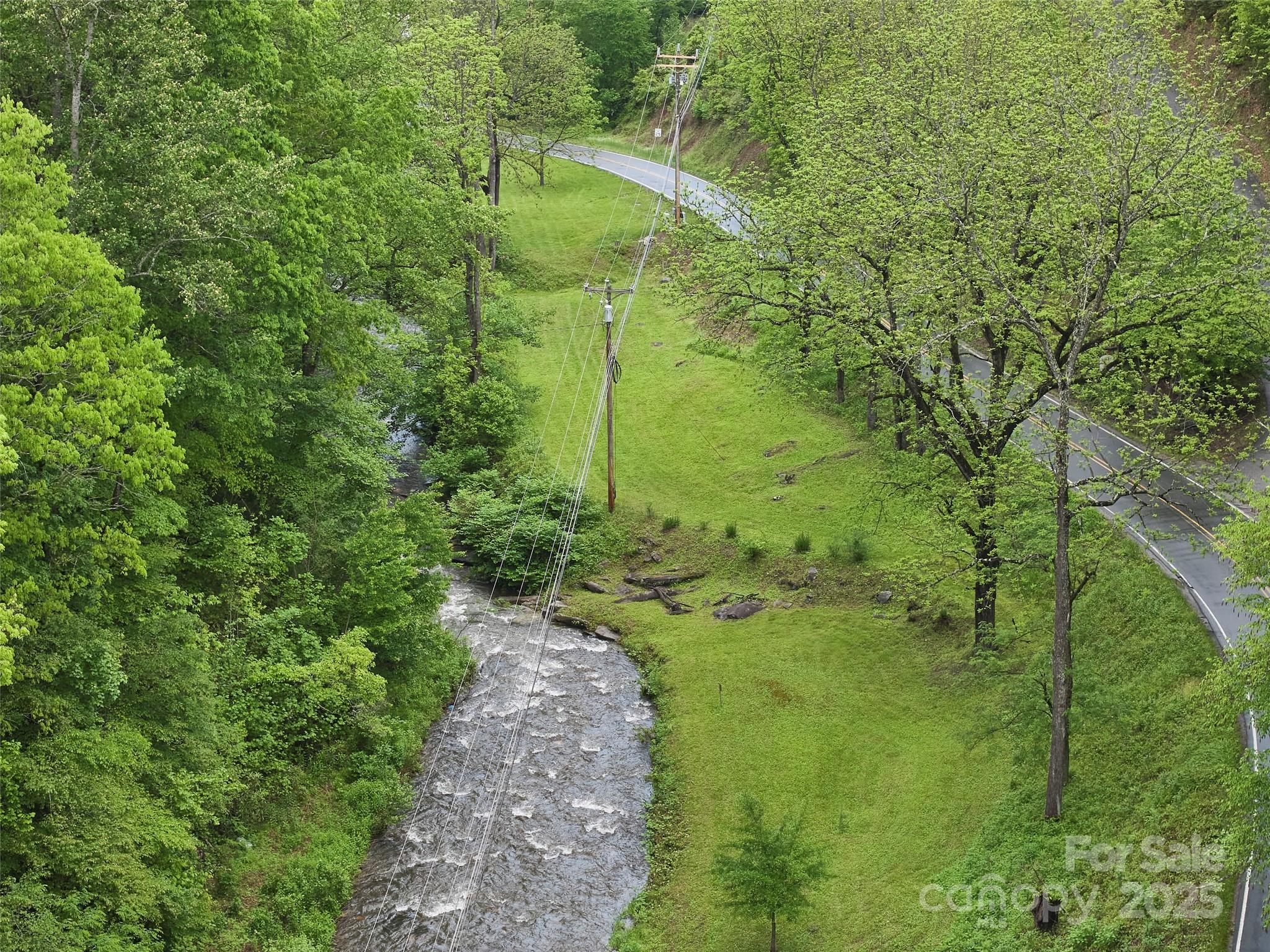 210 Conleys Creek Road Whittier, NC 28789 - Photo 3 of 31 a view of a garden with a tree