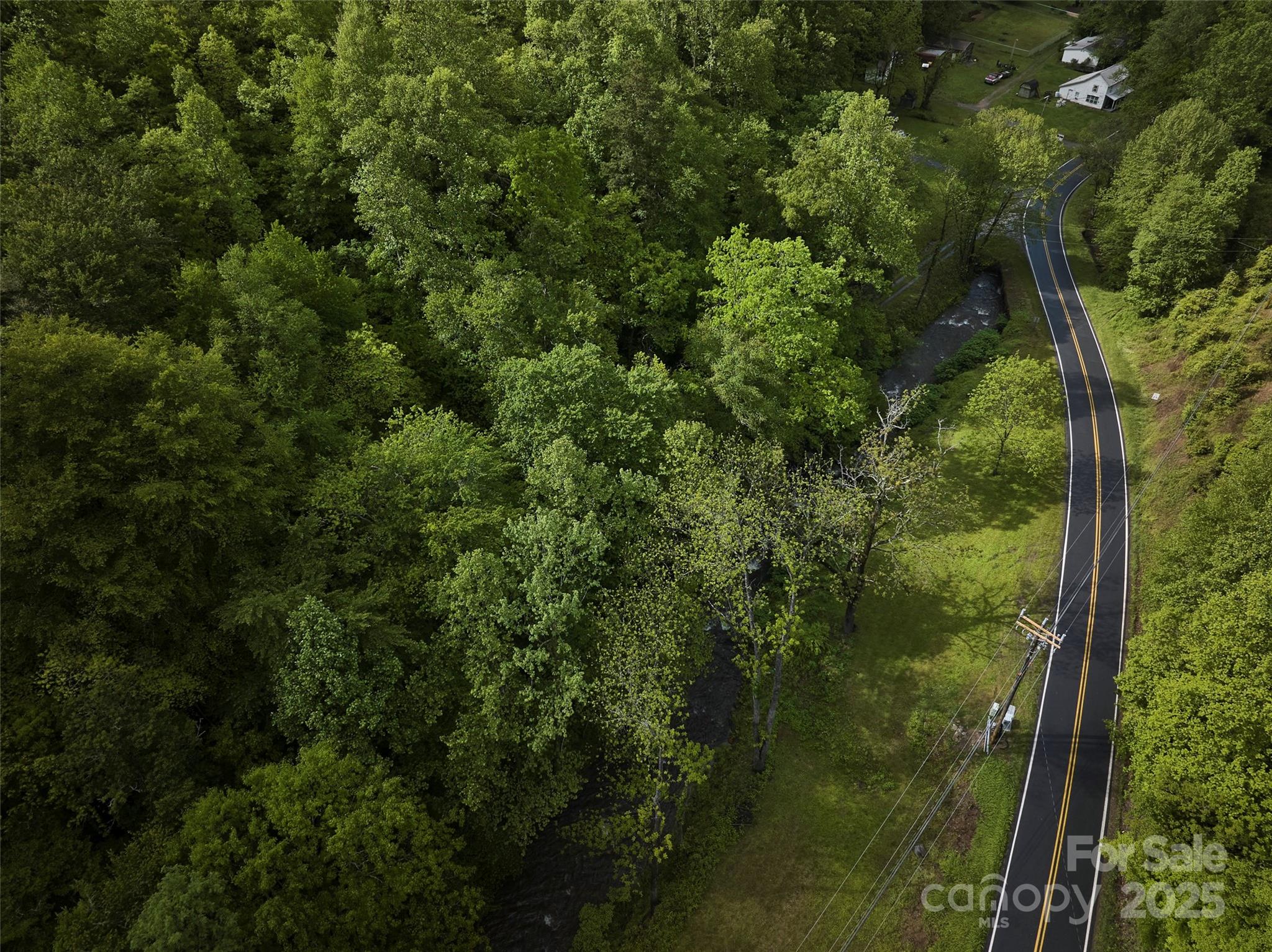 210 Conleys Creek Road Whittier, NC 28789 - Photo 5 of 31 a view of a green yard
