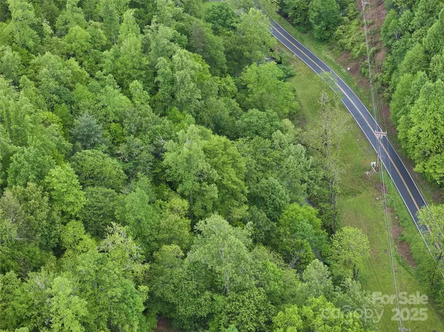 a view of a lush green forest with large trees