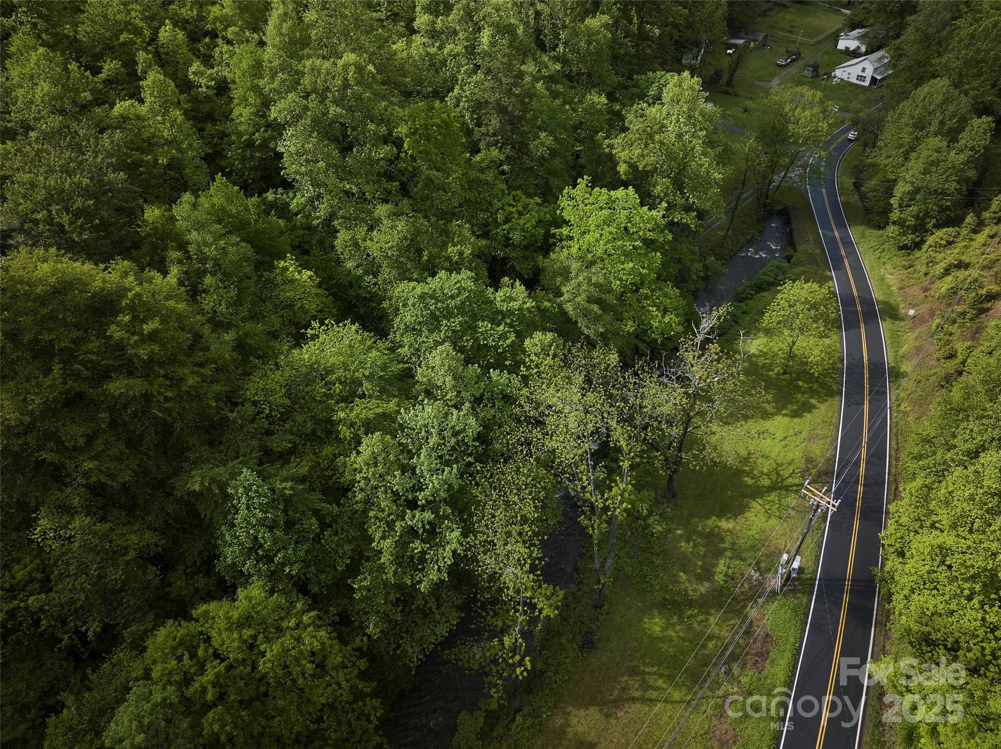 210 Conleys Creek Road Whittier, NC 28789 - Photo 7 of 31 a view of a forest