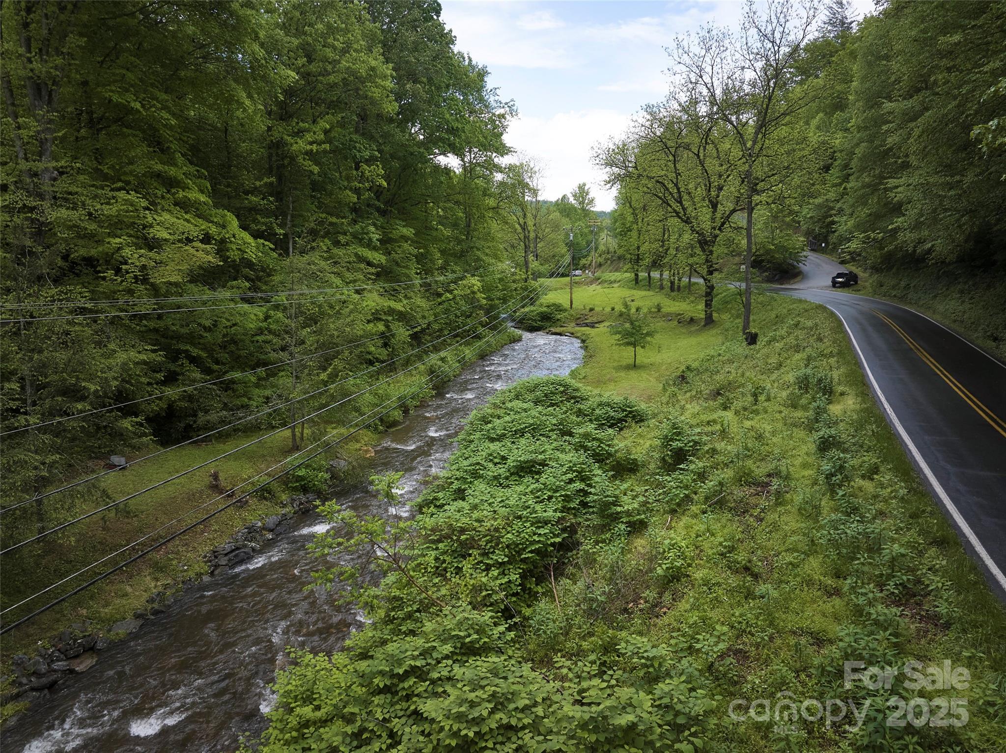 210 Conleys Creek Road Whittier, NC 28789 - Photo 9 of 31 a view of a lush green forest